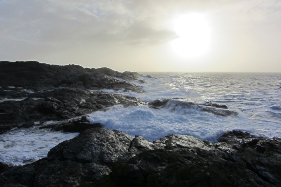 Rottske svaberg 2013